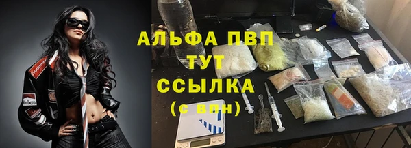 индика Баксан