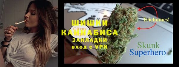 индика Баксан