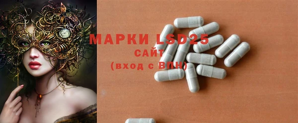 индика Баксан