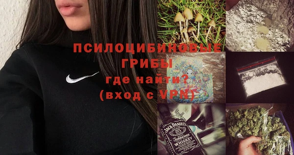 индика Баксан