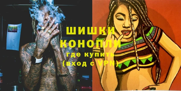 индика Баксан