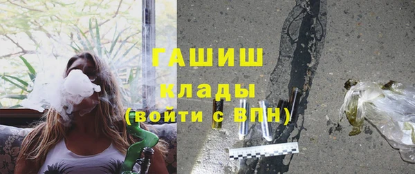 индика Баксан