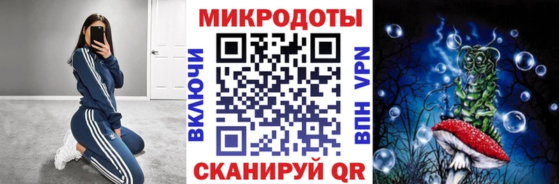 Псилоцибиновые грибы Psilocybine cubensis  Белогорск 